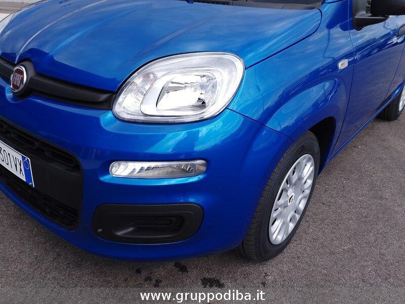 Fiat Panda Panda 1.0 70cv Hybrid Icon- Gruppo Diba