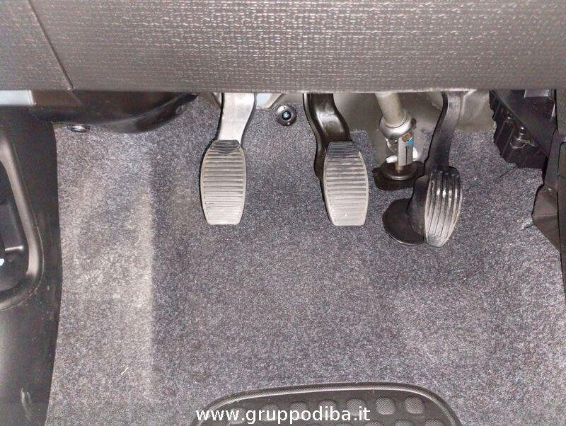 Fiat Panda Panda 1.0 70cv Hybrid Icon- Gruppo Diba