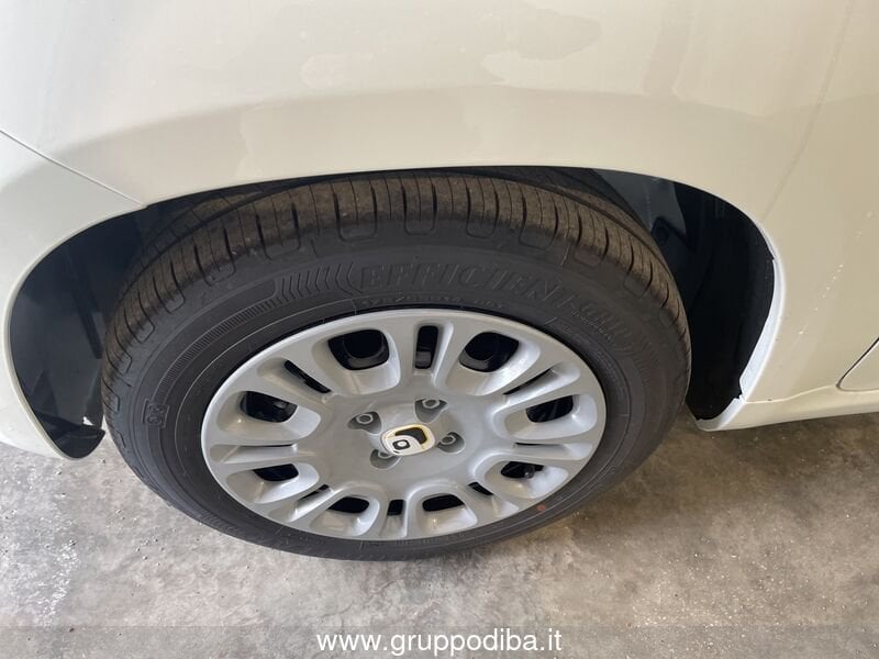 Fiat Panda Panda 1.0 70cv Hybrid Panda- Gruppo Diba