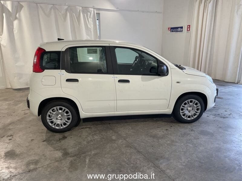 Fiat Panda Panda 1.0 70cv Hybrid Panda- Gruppo Diba