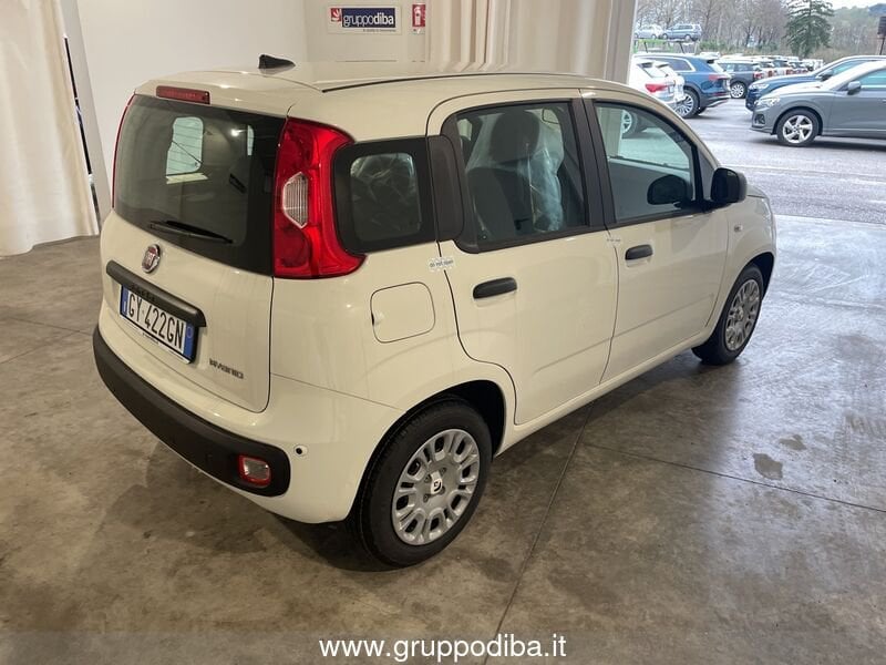 Fiat Panda Panda 1.0 70cv Hybrid Panda- Gruppo Diba