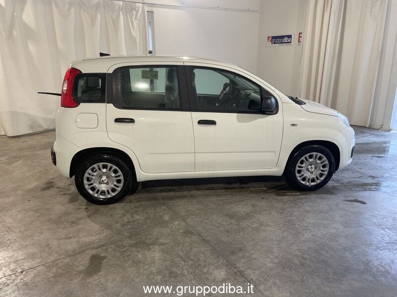 Fiat Panda Panda 1.0 70cv Hybrid Panda- Gruppo Diba