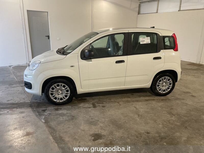 Fiat Panda Panda 1.0 70cv Hybrid Panda- Gruppo Diba