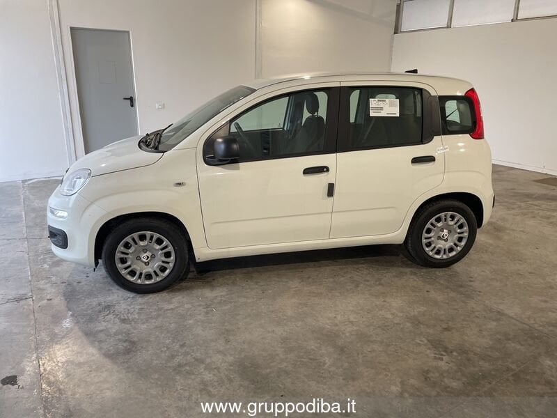 Fiat Panda Panda 1.0 70cv Hybrid Panda- Gruppo Diba