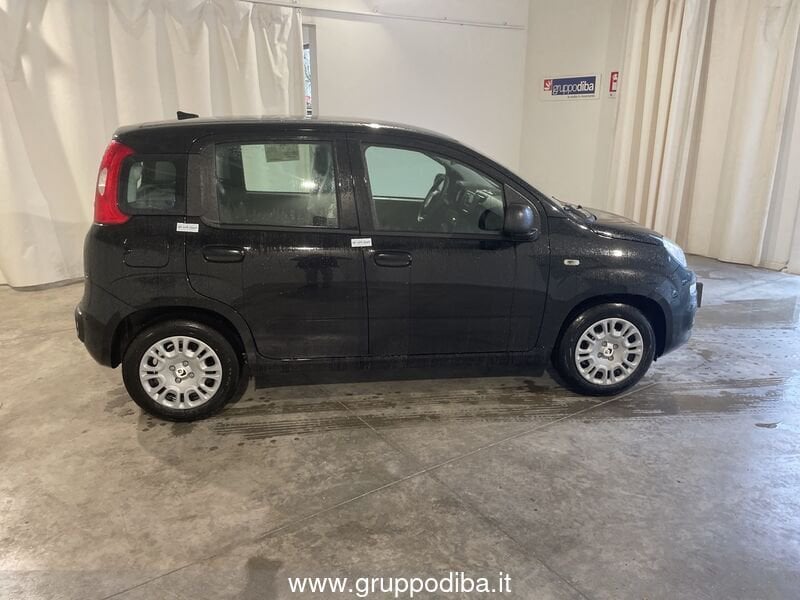 Fiat Panda Panda 1.0 70cv Hybrid Panda- Gruppo Diba
