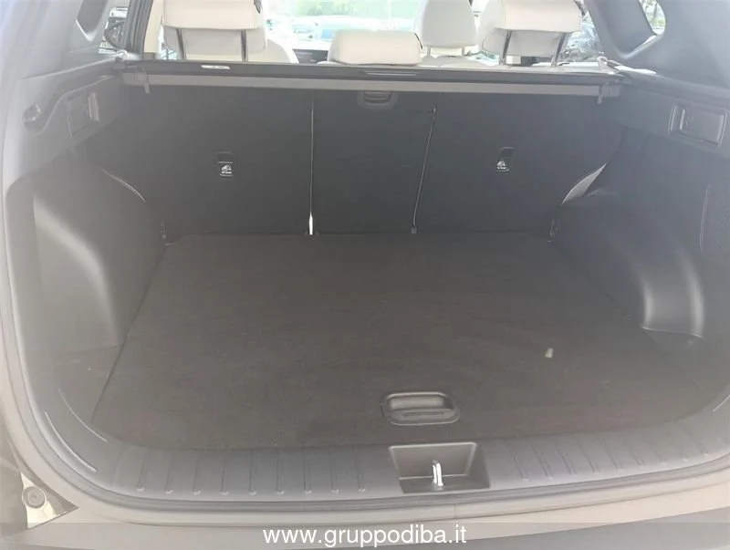 Hyundai Tucson TUCSON PE 1.6PHEV AT 4WD EX+LP+PP+(C)- Gruppo Diba