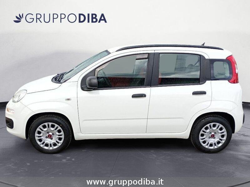 Fiat Panda Panda 1.2 Easy 69cv E6- Gruppo Diba