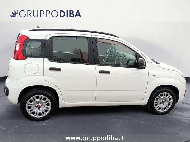 Fiat Panda Panda 1.2 Easy 69cv E6- Gruppo Diba