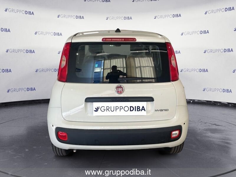 Fiat Panda Panda 1.0 70cv Hybrid Panda- Gruppo Diba