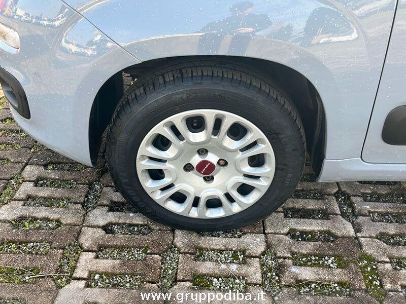 Fiat Panda Panda 1.2 Easy s&s 69cv my19- Gruppo Diba
