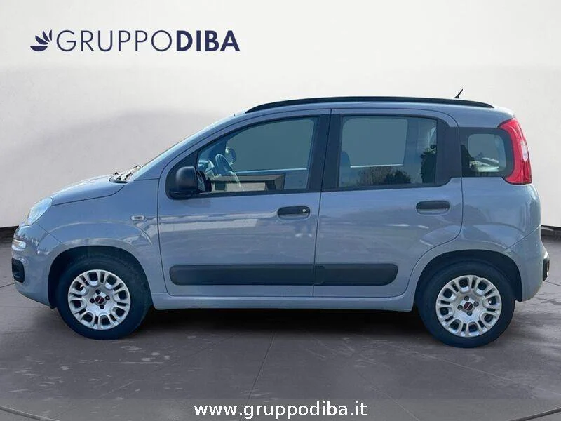 Fiat Panda Panda 1.2 Easy s&s 69cv my19- Gruppo Diba