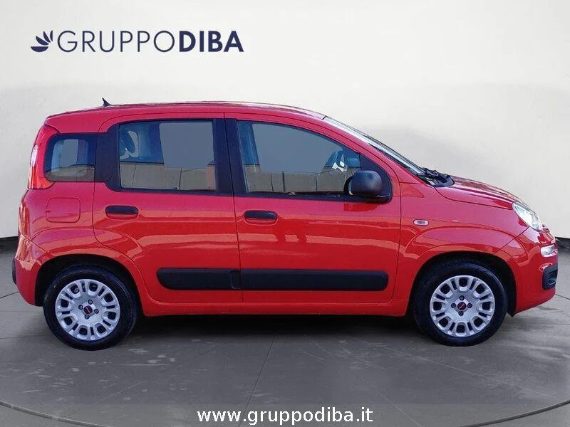Fiat Panda Panda 1.2 Pop 69cv- Gruppo Diba