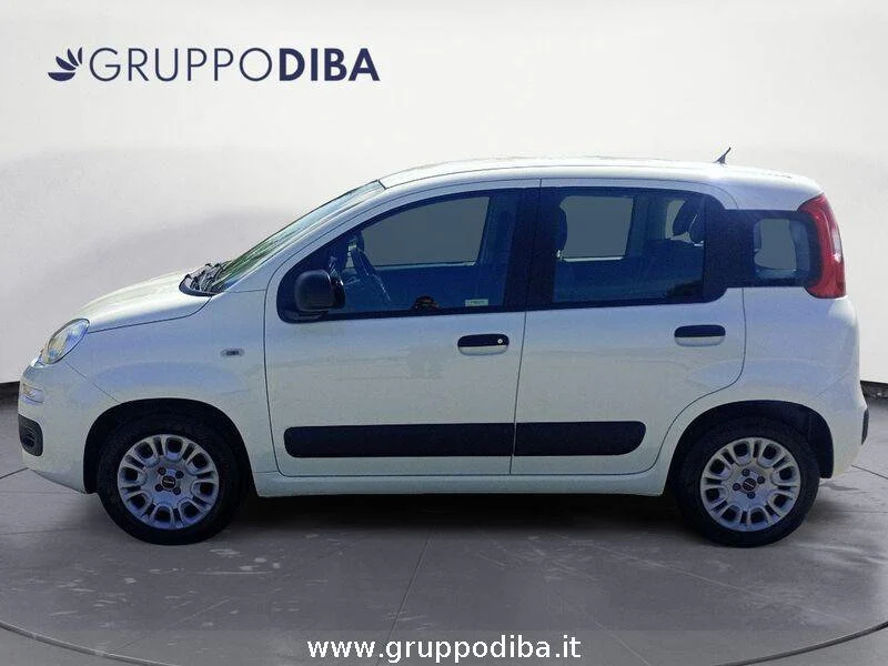 Fiat Panda Panda 1.2 Pop 69cv- Gruppo Diba