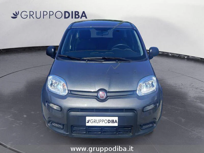 Fiat Panda Panda 1.0 firefly hybrid s&s 70cv- Gruppo Diba