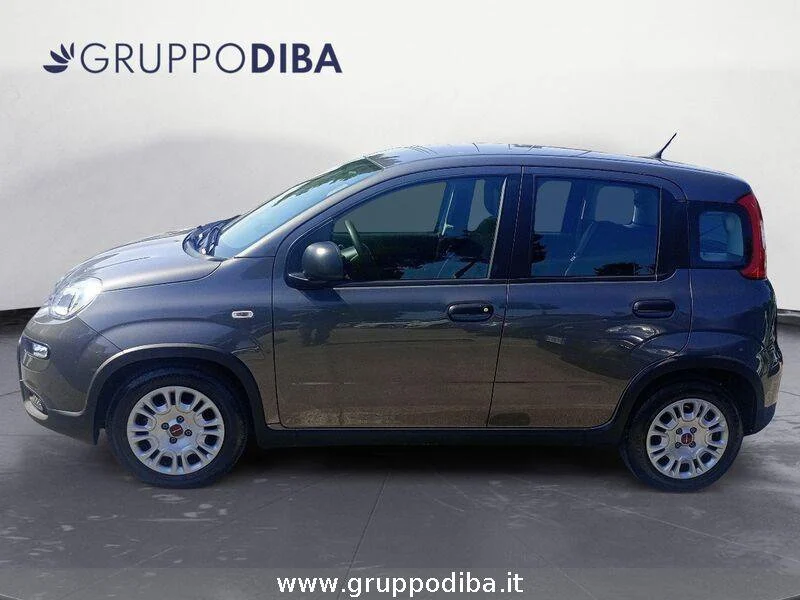 Fiat Panda Panda 1.0 firefly hybrid s&s 70cv- Gruppo Diba