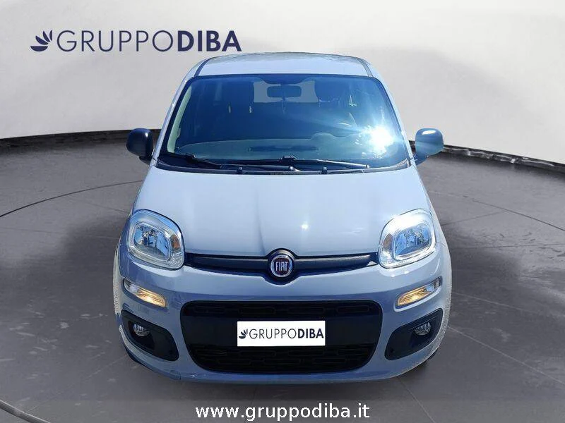 Fiat Panda Panda 1.2 Easy s&s 69cv my19- Gruppo Diba