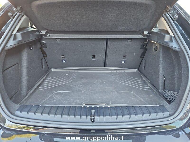BMW Serie 1 116d Business Advantage auto- Gruppo Diba