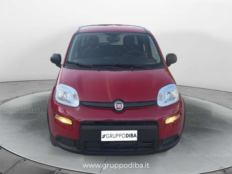 Fiat Panda Panda 1.0 firefly hybrid s&s 70cv- Gruppo Diba