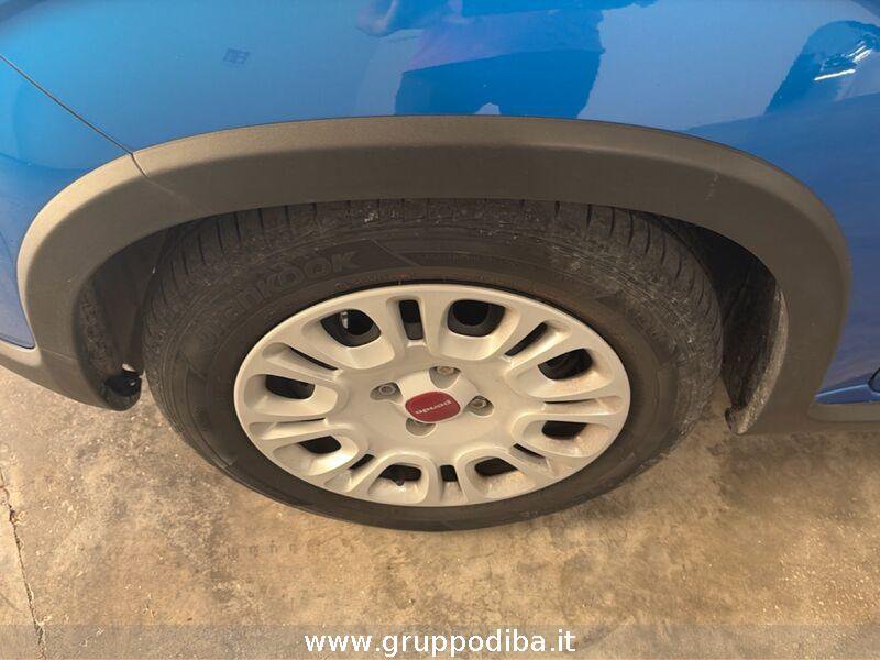 Fiat Panda Panda 1.0 firefly hybrid s&s 70cv- Gruppo Diba