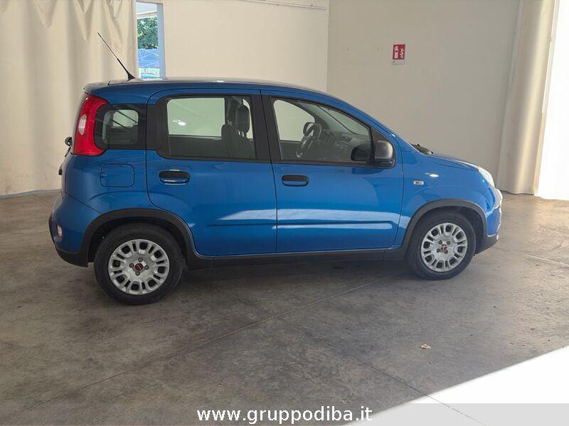 Fiat Panda Panda 1.0 firefly hybrid s&s 70cv- Gruppo Diba