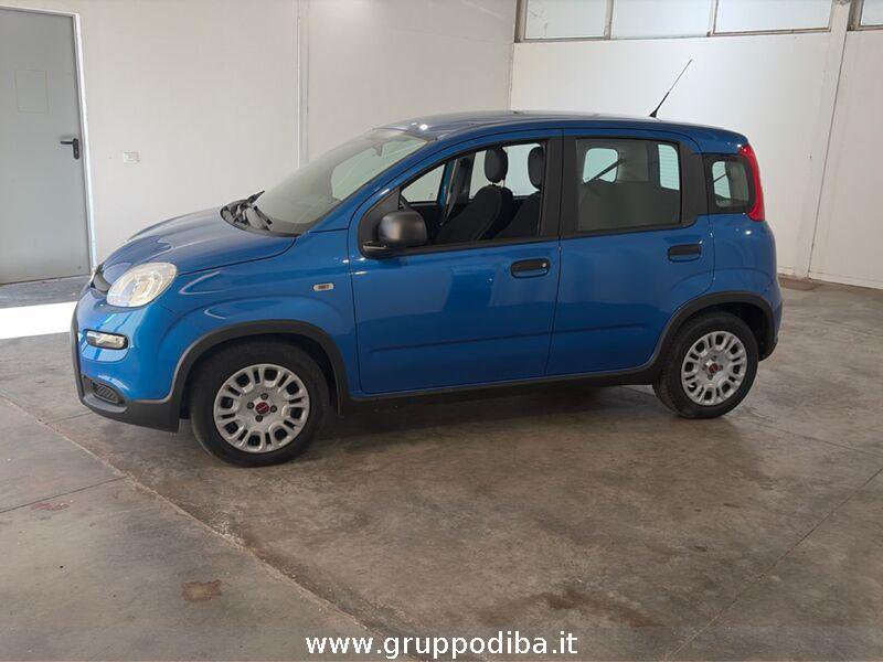 Fiat Panda Panda 1.0 firefly hybrid s&s 70cv- Gruppo Diba