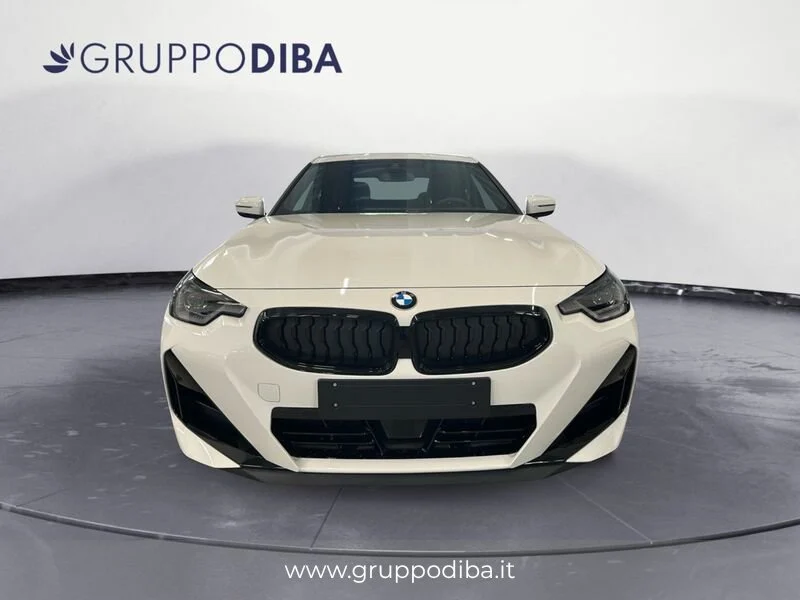 BMW Serie 2 Coupe 218I COUP&Eacute;- Gruppo Diba