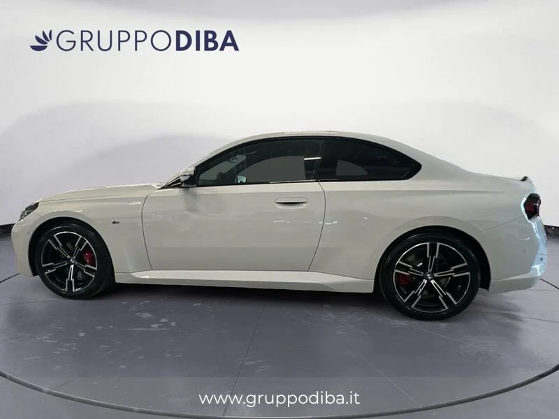 BMW Serie 2 Coupe 218I COUP&Eacute;- Gruppo Diba