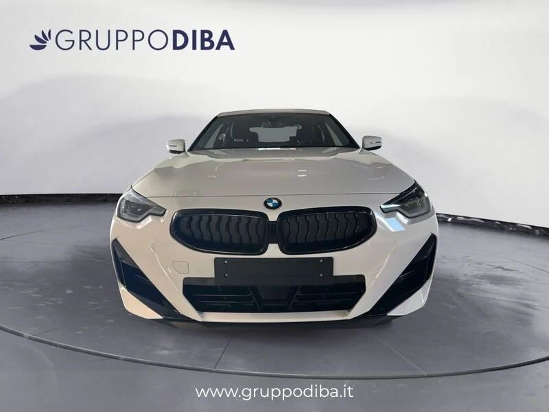 BMW Serie 2 Coupe 220D COUP&Eacute;- Gruppo Diba