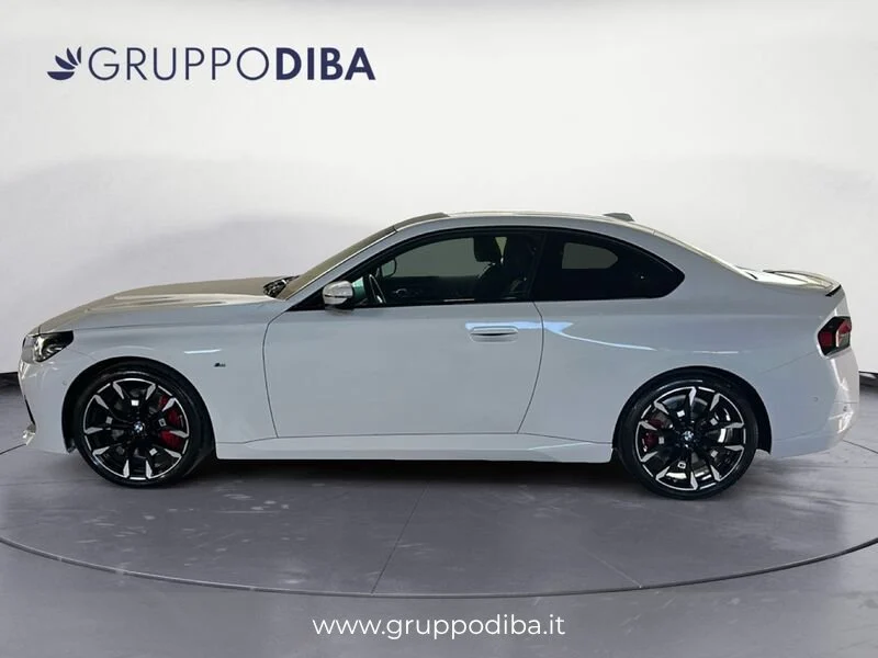 BMW Serie 2 Coupe 220D COUP&Eacute;- Gruppo Diba