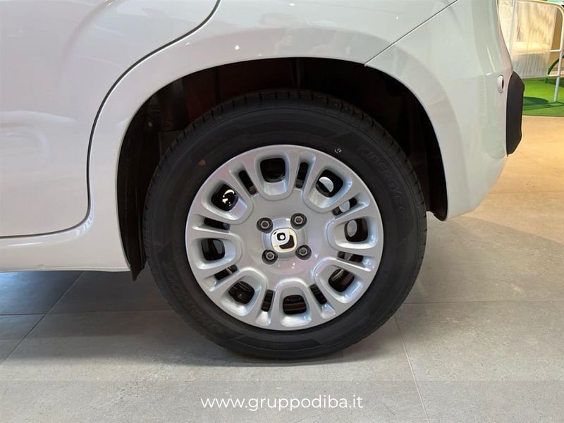 Fiat Pandina Pandina 1.0 firefly hybrid Icon s&s 70cv 5p.ti- Gruppo Diba