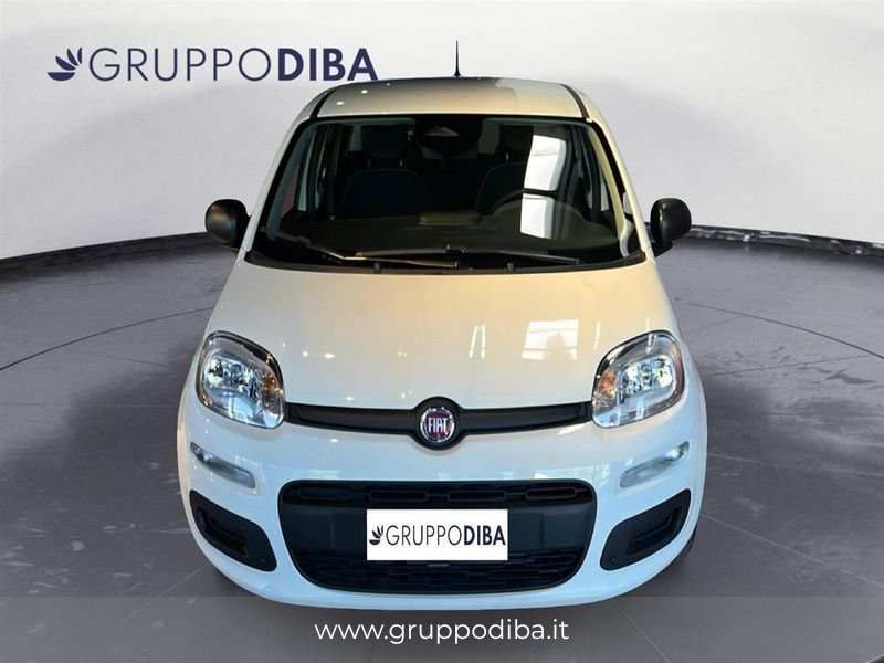 Fiat Pandina Pandina 1.0 firefly hybrid Icon s&s 70cv 5p.ti- Gruppo Diba