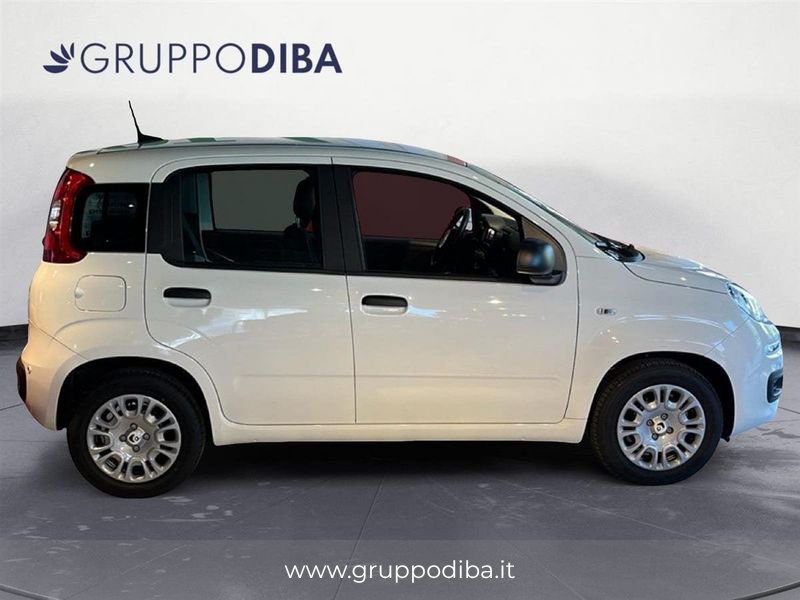 Fiat Pandina Pandina 1.0 firefly hybrid Icon s&s 70cv 5p.ti- Gruppo Diba