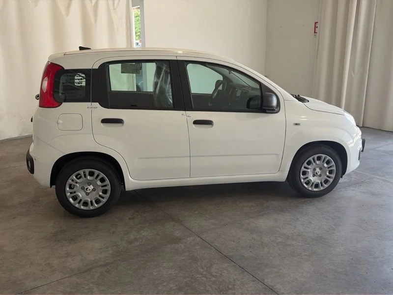 Fiat Pandina Pandina My26 1.0 65cv Hybrid Icon- Gruppo Diba