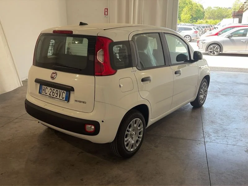Fiat Pandina Pandina My26 1.0 65cv Hybrid Icon- Gruppo Diba