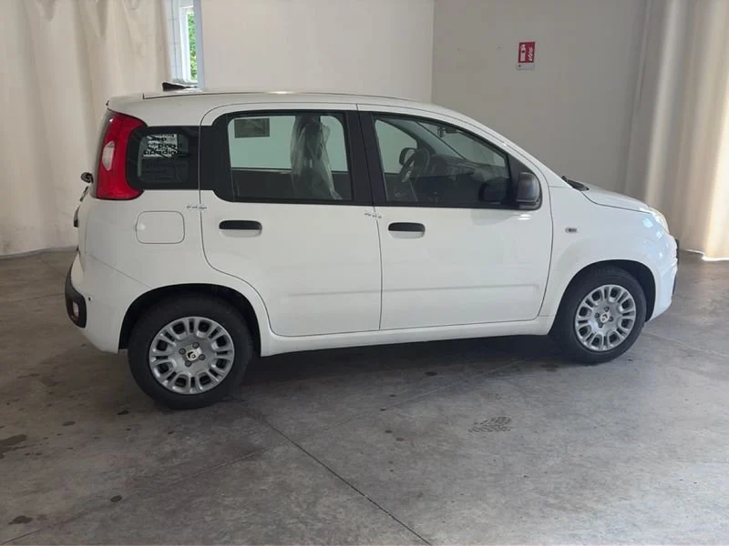 Fiat Pandina Pandina My26 1.0 65cv Hybrid Icon- Gruppo Diba