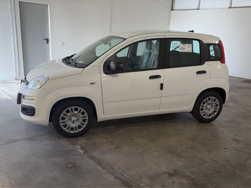 Fiat Pandina Pandina My26 1.0 65cv Hybrid Icon- Gruppo Diba