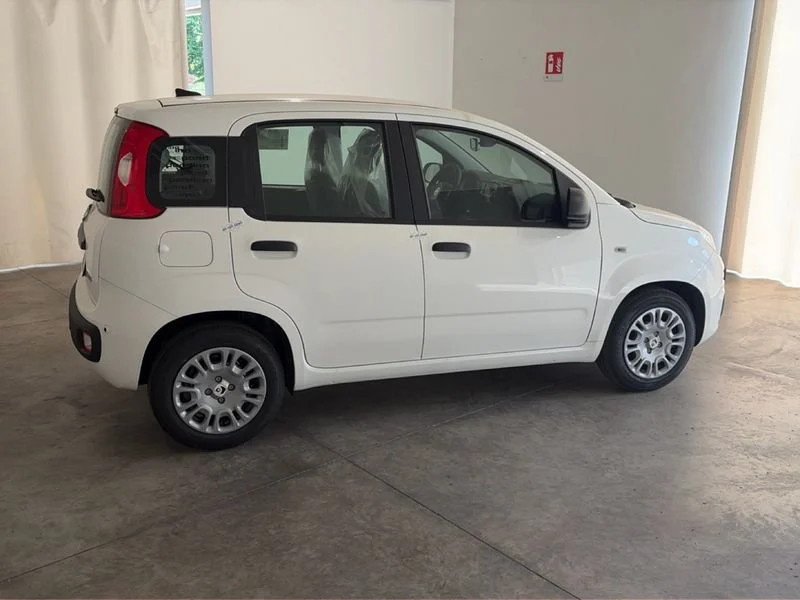 Fiat Pandina Pandina My26 1.0 65cv Hybrid Icon- Gruppo Diba
