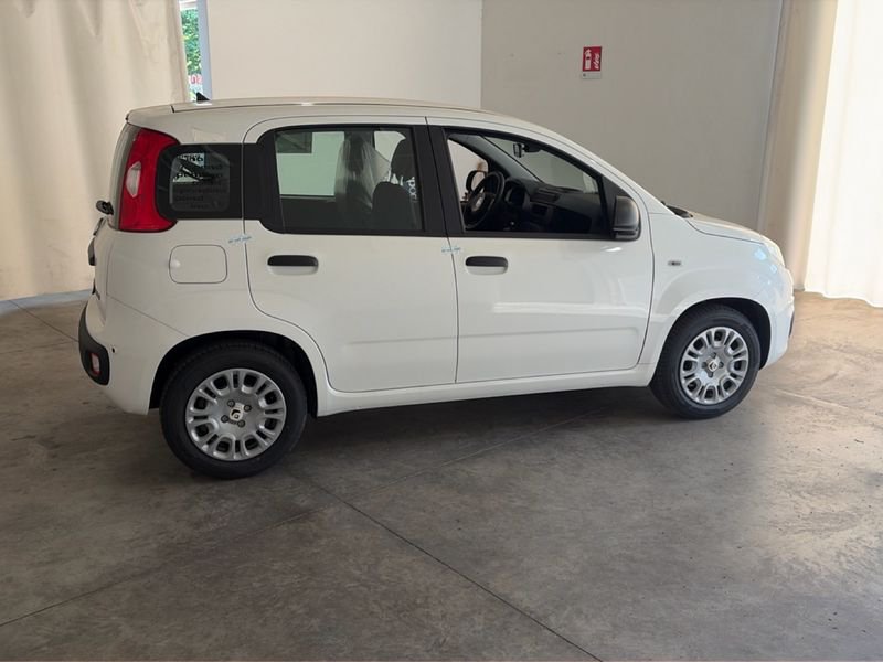 Fiat Pandina Pandina My26 1.0 65cv Hybrid Pop- Gruppo Diba