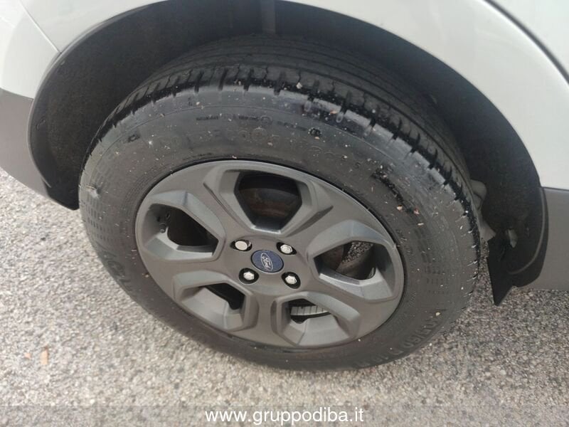 Ford Ecosport EcoSport 1.0 ecoboost Plus s&s 125cv- Gruppo Diba