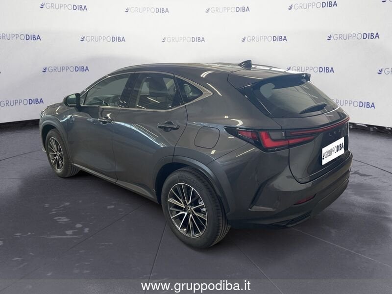 Lexus NX NX 2.5H ECVT 2WD BUSINESS MY24- Gruppo Diba