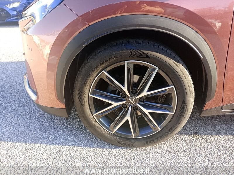 Lexus LBX LBX 1.5H 4WD COOL MY24- Gruppo Diba