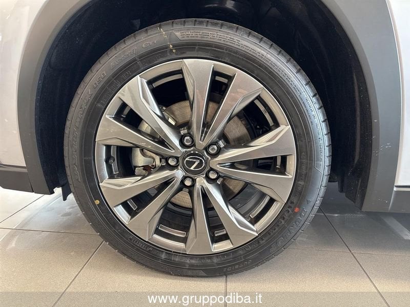 Lexus UX Hybrid UX300H 2WD F-DESIGN MY24- Gruppo Diba