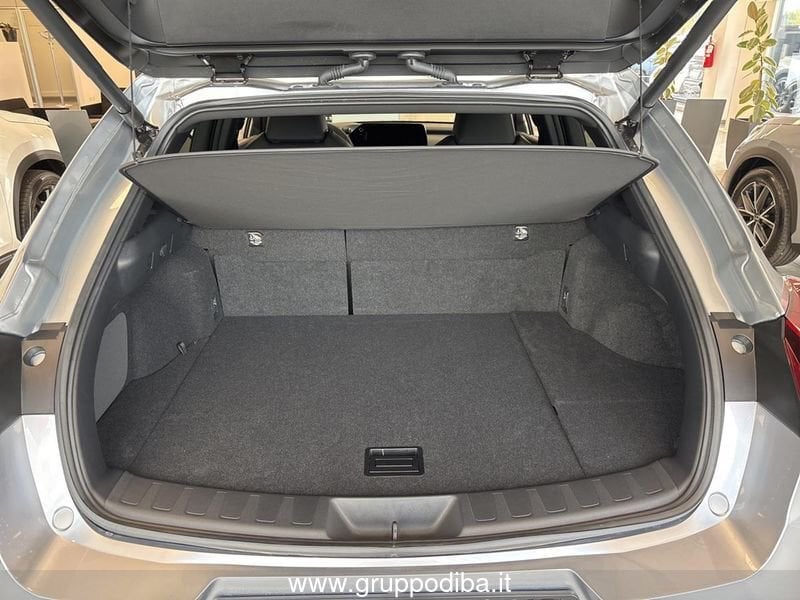 Lexus UX Hybrid UX300H 2WD F-DESIGN MY24- Gruppo Diba