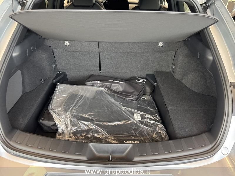Lexus UX Hybrid UX300H 2WD F-DESIGN MY24- Gruppo Diba