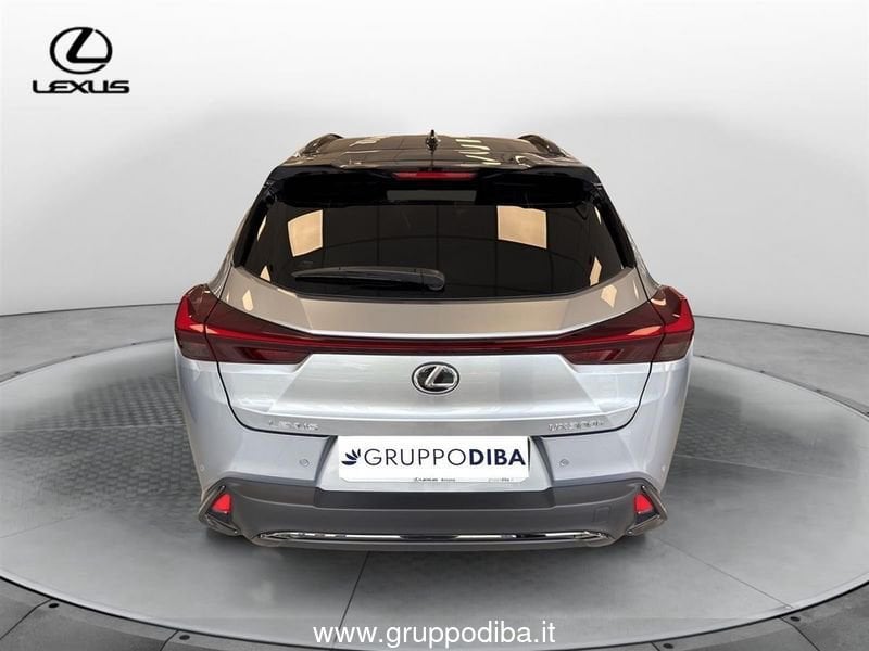 Lexus UX Hybrid UX300H 2WD F-DESIGN MY24- Gruppo Diba