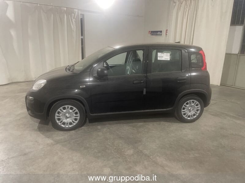 Fiat Panda Panda 1.0 70cv Hybrid Panda- Gruppo Diba