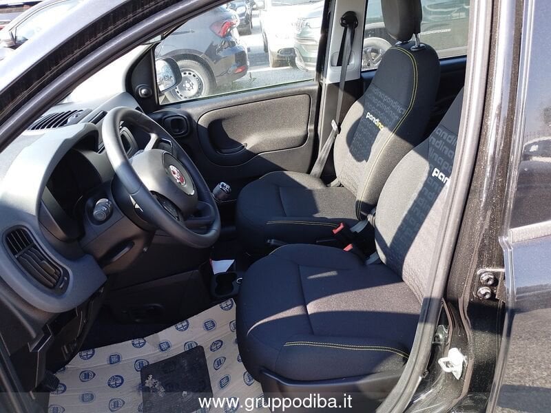 Fiat Panda Panda 1.0 70cv Hybrid Panda- Gruppo Diba