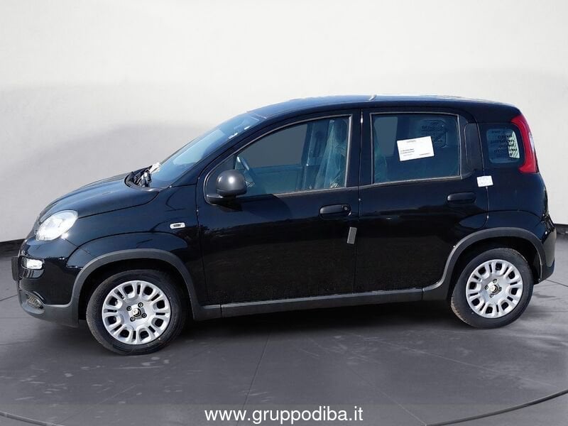 Fiat Panda Panda 1.0 70cv Hybrid Panda- Gruppo Diba