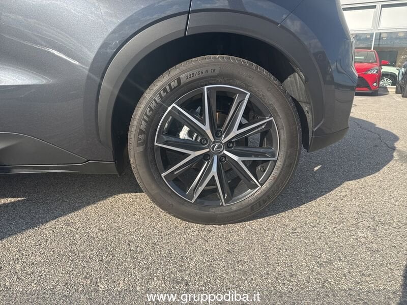 Lexus LBX LBX 1.5H 2WD COOL MY24- Gruppo Diba