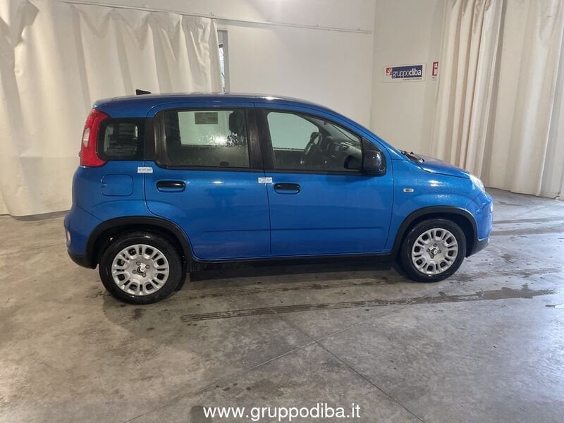 Fiat Panda Panda 1.0 70cv Hybrid Panda- Gruppo Diba